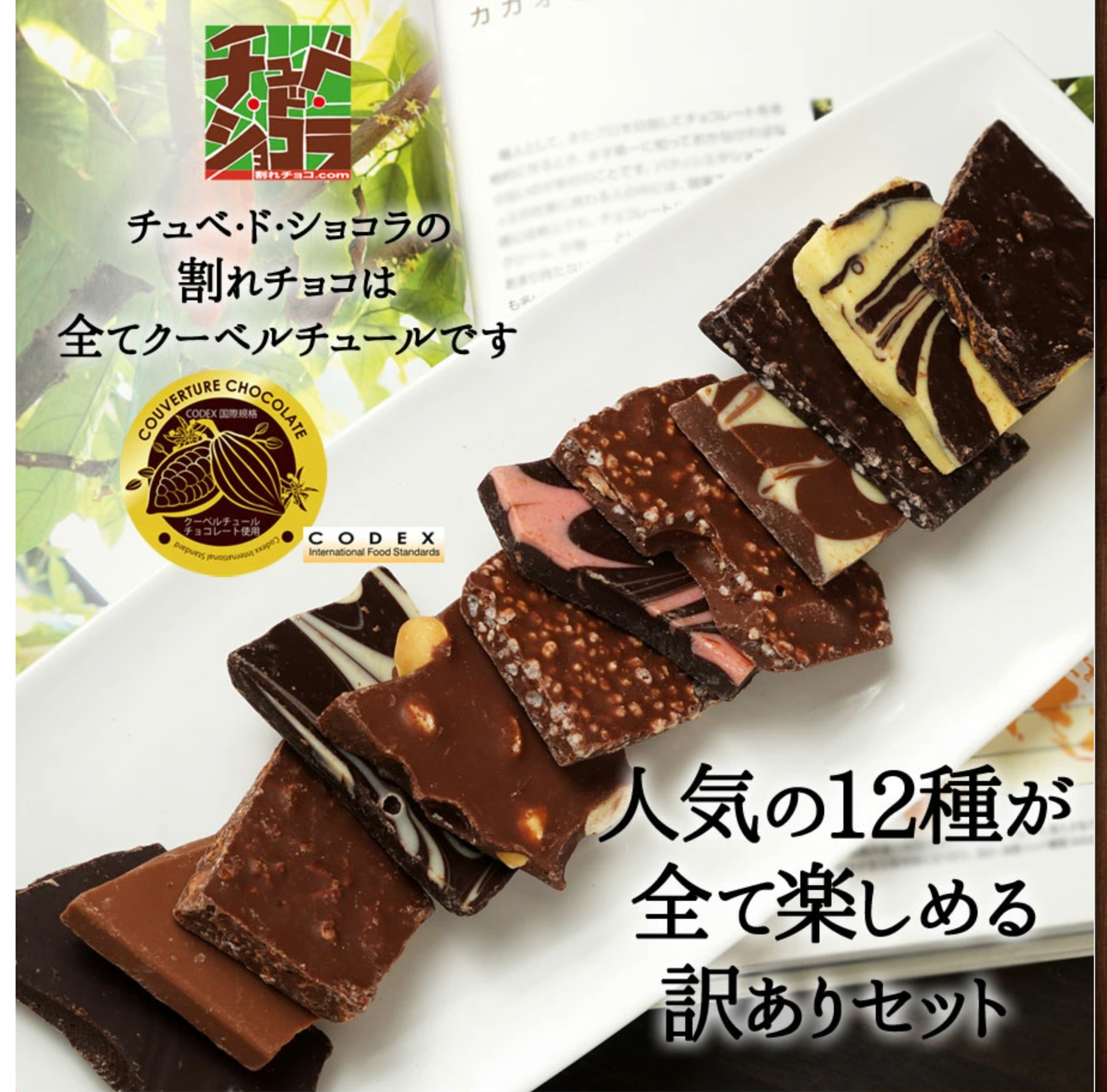 送料無料【割れチョコミックス12種】-1kg-チュベ・ド・ショコラ-割れチョコ一覧-チュベ・ド・ショコラ